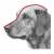 Trixie Kaganiec plastikowy M 23,5cm dla psa - Border Collie, Standard Schnauzer